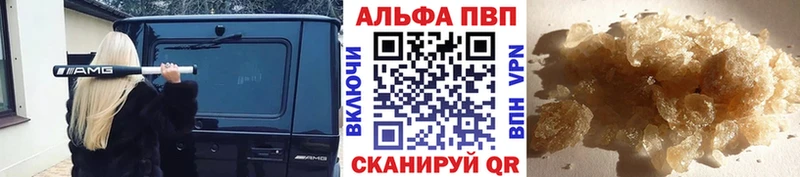 A PVP СК  Печора 