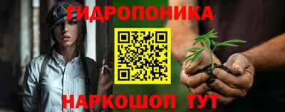 амф Гатчина
