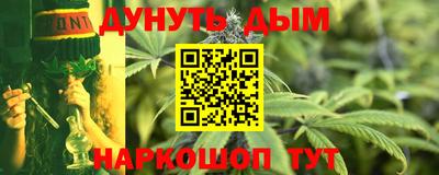 амф Гатчина