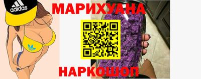 амф Гатчина