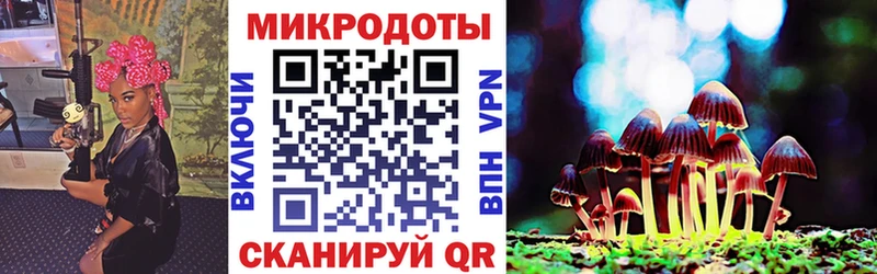 Псилоцибиновые грибы Psilocybine cubensis  Печора 