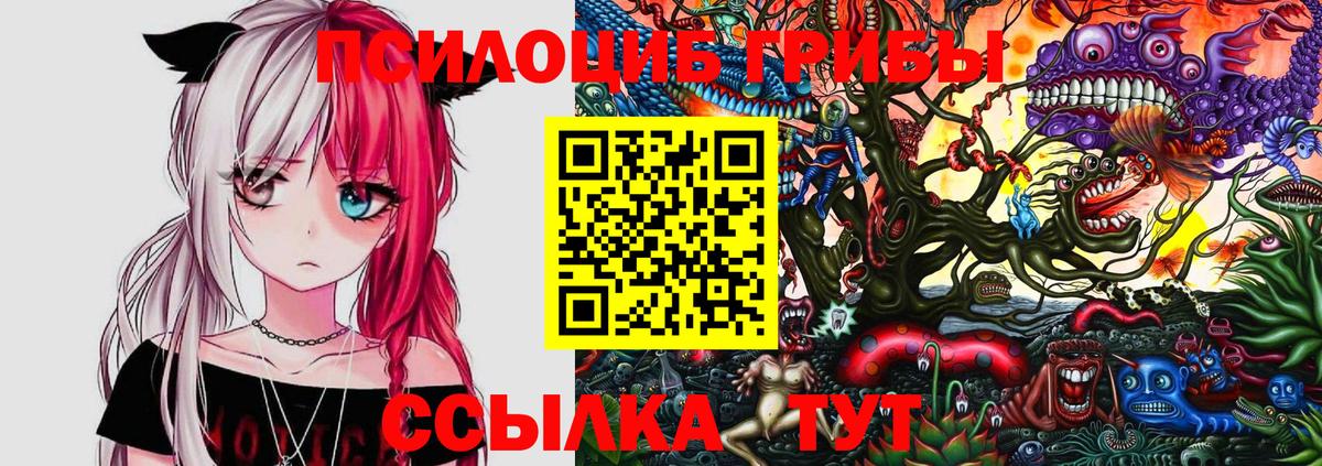Печора  Галлюциногенные грибы Psilocybine cubensis  Псилоцибиновые грибы Magic Shrooms  Вход с VPN 