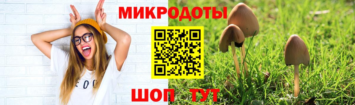 Галлюциногенные грибы Cubensis Печора